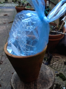Flowerpot ice lantern in the making